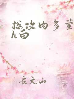 总攻肉多荤文高h白