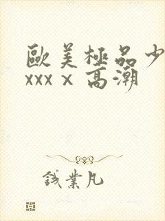 欧美极品少妇xxxxⅹ高潮