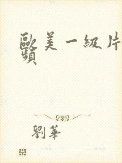 欧美一级片看视频