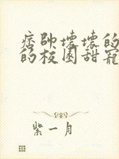 痞帅坏坏的校霸的校园甜宠文