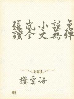 张岚小说免费阅读全文无弹窗