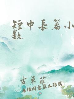 短中长篇小说字数