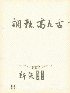 调教高h古言