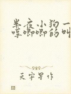 半夜小狗一直哼哼唧唧的叫是什么原因