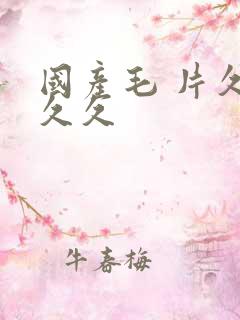 国产毛 片久久久久