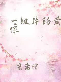 一级片的黄色录像