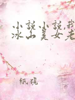 小说小说,我的冰山美女老婆