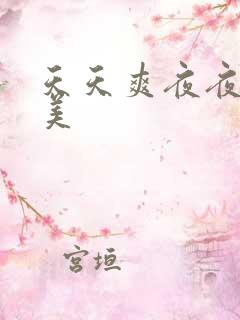 天天爽夜夜爽欧美