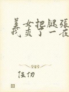 美女把腿张开让我爽了一夜