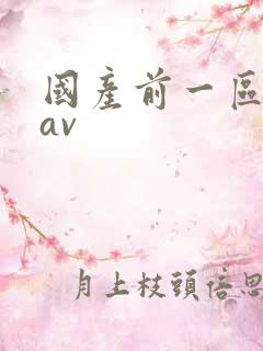 国产前一区二区av