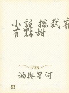 小说 总裁宠妻有点甜