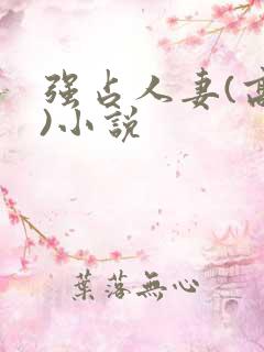 强占人妻(高h)小说