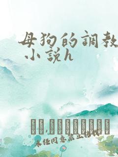 母狗的调教经历 小说h