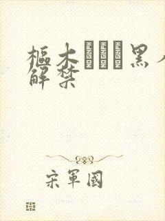 枢木あおい黑人解禁