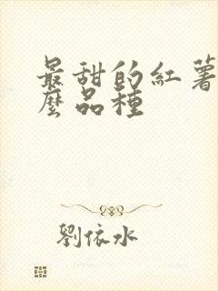 最甜的红薯是什么品种