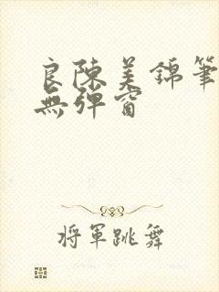 良陈美锦笔趣阁无弹窗