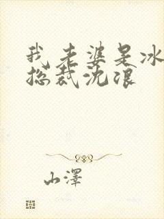 我老婆是冰山女总裁沈浪