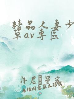 精品人妻少妇嫩草av专区