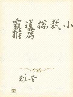 霸道总裁小说文推荐