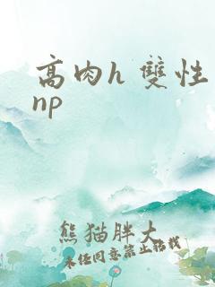 高肉h 双性 np