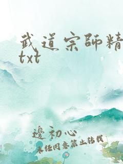 武道宗师精校版txt