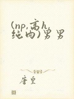 (np,高h,纯肉)男男