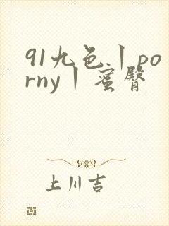 91九色丨porny丨蜜臀