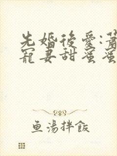 先婚后爱:萧总宠妻甜蜜蜜