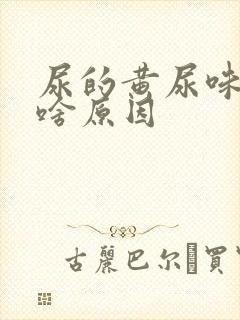 尿的黄尿味重是啥原因