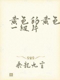 黄色的黄色录像一级片