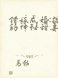 错嫁成婚:总裁的神秘甜妻