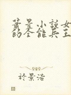 萧晨小说女总裁的全能兵王