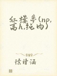 红楼梦(np,高h,纯肉)