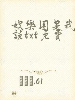 娱乐圈是我的小说txt免费