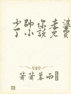 少帅你老婆又跑了小说免费阅