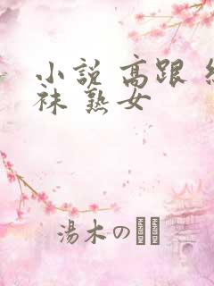 小说 高跟 丝袜 熟女