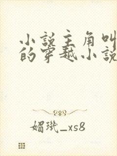 小说主角叫林雨的穿越小说