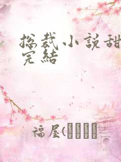 总裁小说甜宠文完结