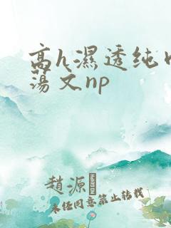 高h湿透纯肉放荡文np