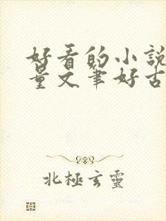 好看的小说高质量文笔好古言