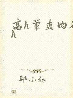 高h荤爽肉欲文h