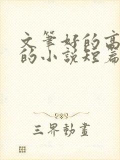 文笔好的高质量的小说短篇言情