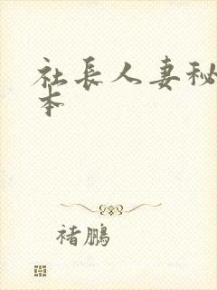 社长人妻秘书日本