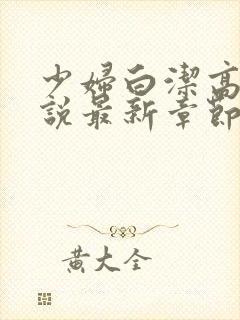 少妇白洁高义小说最新章节