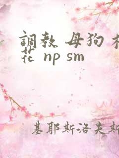 调教 母狗 校花 np sm