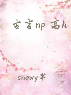 古言np 高h