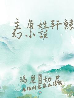 主角姓轩辕的玄幻小说