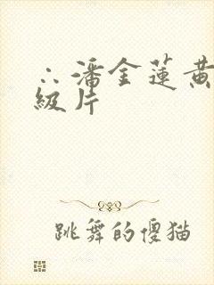 ∴潘金莲黄色一级片