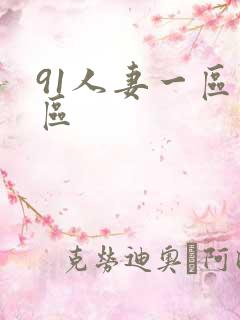 91人妻一区二区