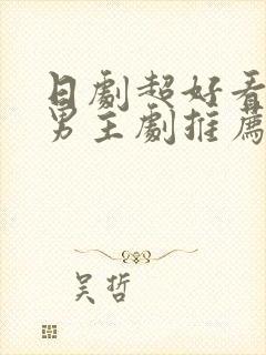 日剧超好看的双男主剧推荐